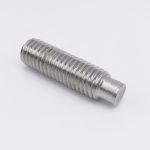 LPS Half-Dog Socket Set Screw, Length 5/16inch, Diameter 3/16inch