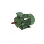 Hindustan 2HS5 166-6403 Two Speed Induction Motor, Polarity 6/4