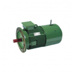 Hindustan 2FC1 317-0403 Flameproof Crane Duty Motor, Pole 4 , Speed 1500rpm