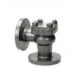 Sant CI 4A C.I. Lift Check Valve, Size 20mm