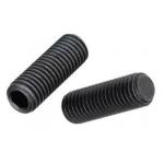 LPS Socket Set Screw, Length 5/16inch, Diameter 5/16inch, Wrench Key Size 5/32inch