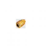 Techno REC-PF Rectus Type Coupler, Material Brass, Size 3/8inch, Working Pressure 10kg