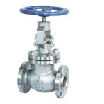 Sant CI 1A C.I. Globe Valve, Size 15mm