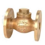 Sant Gun Metal Horizontal Check Valve, Type Flanged Ends, Size 25mm