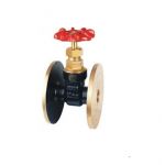 Prince Gun Metal Globe Valve, Size 50mm