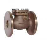 Sant IBR 3E Bronze Horizontal Lift Check Valve, Size 65mm