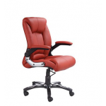 Zeta BS 118 Low Back Chair, Mechanism Torchen Bar, Series Executive