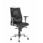 Zeta Low Back Chair, Mechanism Sinkrow Knee Tilt, Series Executive