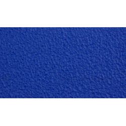 Mithilia Consumer Goods Pvt. Ltd. PAP 874 Slip Guard-Coarse Resilient, Color Blue, Size 115 x 635m