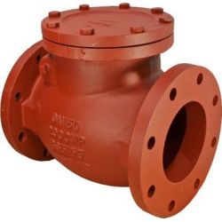 Sant CI 3C C.I. Swing Check Valve, Size 50mm