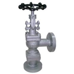 Sant CS 5 Cast Steel Accessible Feed Check Valve, Size 65mm