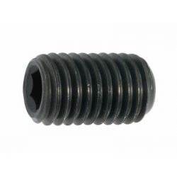 LPS Socket Set Screw, Length 1/2inch, Dia 1/4inch, Size 1/8inch