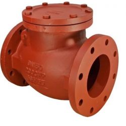 Sant CI 3C C.I. Swing Check Valve, Size 100mm