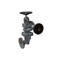 Sant CI 5D C.I. Accessible Feed Check Valve, Size 65mm