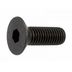 LPS Socket Counter Sunk Screw, Length 100mm, Dia M12, Size 8mm