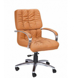 Zeta BS 148 Low Back Chair, Mechanism Torchen Bar, Series Executive