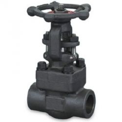 SAP Forged Steel(ASTM-A105) Globe Valve, Size 20mm, Hydraulic Test Pressure(Body) 211kg/sq cm, Hydraulic Test Pressure(Seat) 140kg/sq cm