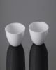 Glassco 522.303.20 Crucible Porcelian Withlid Squat Form, Capacity 250ml