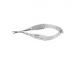 Roboz RS-5601 McPherson-Vannas Micro Dissecting Spring Scissors, Legth 3inch