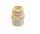 Astral Pipes M512111301 Male Adaptor CPVC Thread, Size 15mm