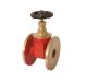 Prince Gun Metal Gate Valve, Size 20mm