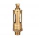 Sant IBR 21 Bronze Relief Valve, Size 10mm