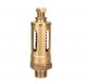 Sant IBR 21 Bronze Relief Valve, Size 20mm