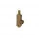 Sant IBR 22 Bronze Relief Valve, Size 50mm