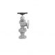 Sant CI 5A C.I. Accessible Feed Check Valve, Size 25mm