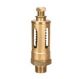 Sant IBR 21 Bronze Relief Valve, Size 25mm