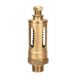 Sant IBR 21 Bronze Relief Valve, Size 50mm