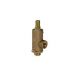 Sant IBR 22 Bronze Relief Valve, Size 8mm