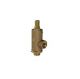 Sant IBR 22 Bronze Relief Valve, Size 20mm