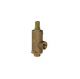 Sant IBR 22 Bronze Relief Valve, Size 25mm