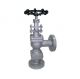 Sant CS 5 Cast Steel Accessible Feed Check Valve, Size 65mm