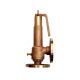 Sant IBR 6 Bronze Safety Valve, Size 50mm