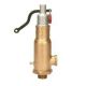 Sant IBR 24 Bronze Safety Valve, Size 50mm