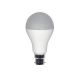 Renesola RA60005S0201 LED Bulb, Power 5W, Color Temperature 6500K, Lumens 500