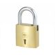 Harrison 0009 Padlock, Size 60mm, No. of Keys 2K, Lever/Pin 7L, Material Brass, Model A -1, Shape Square