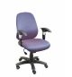 Zeta BS 157 Low Back Chair, Mechanism Sinkrow Tilt, Series Executive