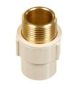 Astral CPVC Pro ASTM D2846 Reducing Brass Thread MTA Male Adaptor, Size 25 x 15mm