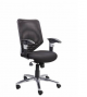 Zeta BS 313 Low Back Chair, Mechanism Sinkrow Tilt, Series Executive