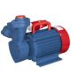 Crompton Greaves Mini Star I Monoblock Pump, Power 1hp, Speed 3000rpm, Head Range 6-45m, Discharge Range 3350-750l/hr, Pipe Size 25 x 25mm