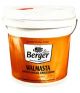 Berger D88 Walmasta Anti-Fungal Emulsion, Capacity 3.6l, Color Yellow